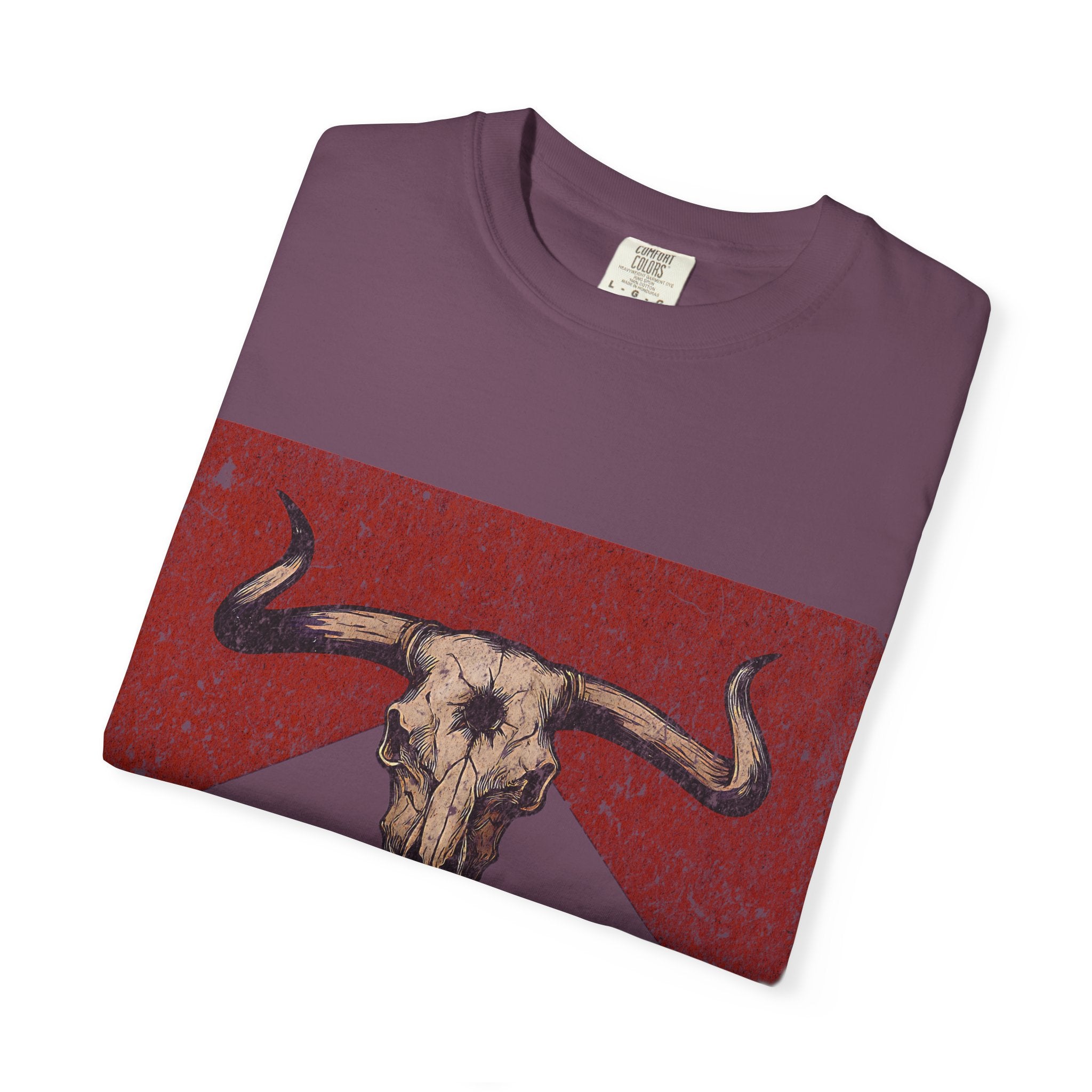 Raised On 90's Country T-Shirt - multi color options